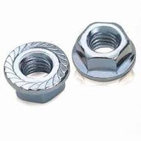 DIN 6923 Serrated Flange Nuts